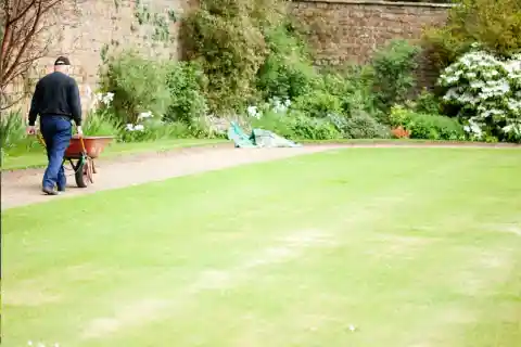 The Groundsman