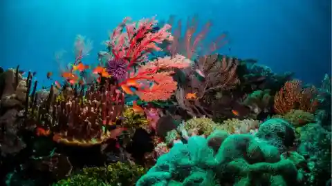 Checking His Body Cam