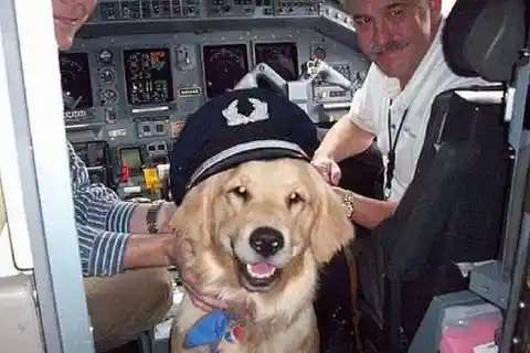 Ruff Ruff, capitaine !