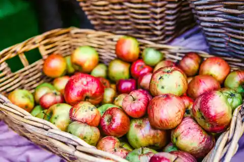 Apples
