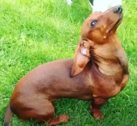 Helping Out in the Difficult Task