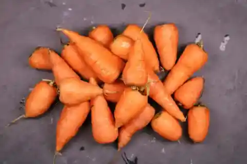 ニンジン