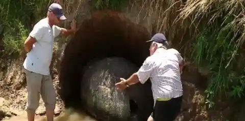 The Removal Of The Object