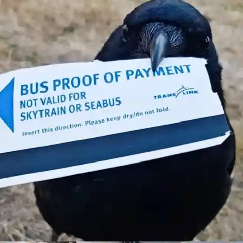 The Truth Unveiled