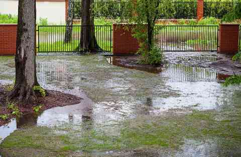 A Burst Pipe