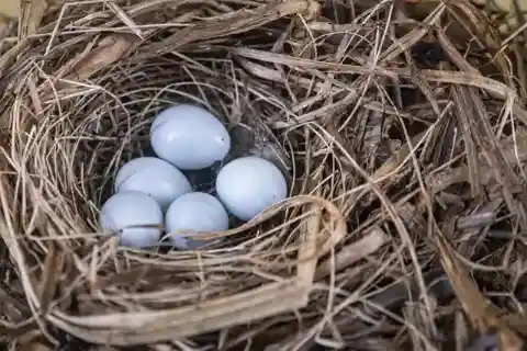 An Unusual View