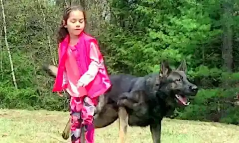 Should’ve Listened