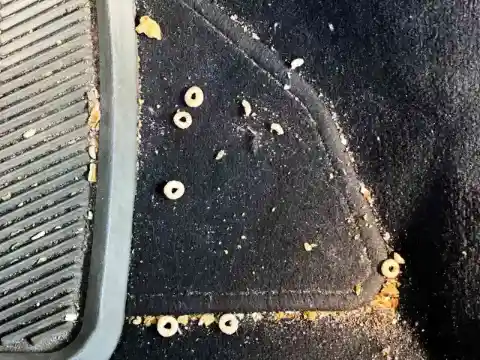 食べこぼしを防いで車内を清潔に保つ