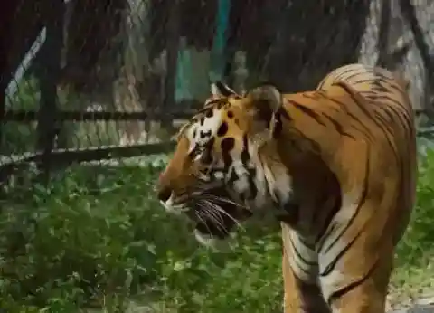 ゆっくりと近づく