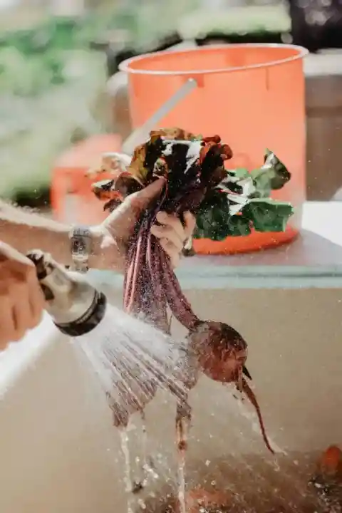비트