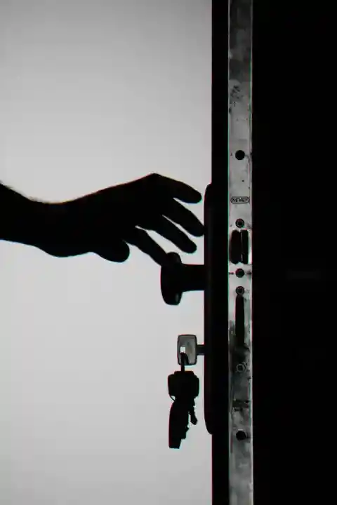 감동적인 재회