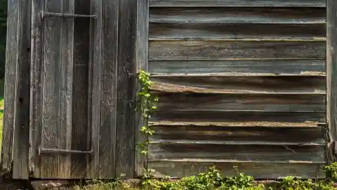 An Old Shed