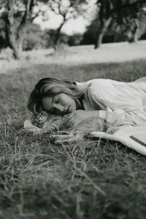 Cats May Sense When Someone Is Nearing Death