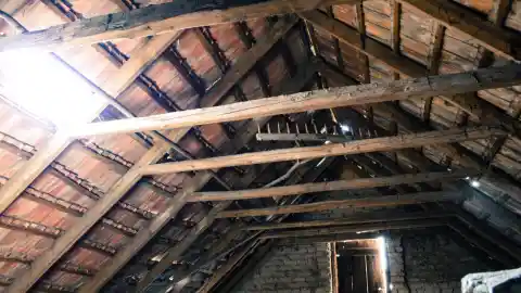 The Attic