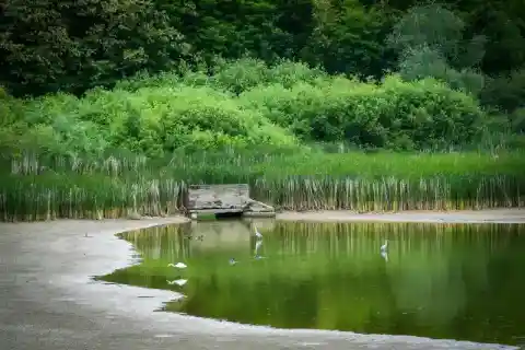 보호소 선정