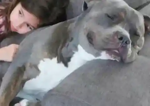 彼女の仲間を維持する