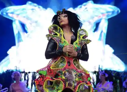 Björk Debunked the Myth