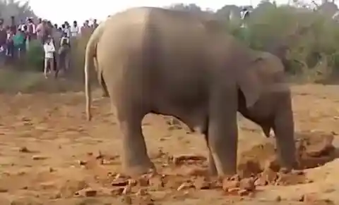 무엇을 위해 파는가?