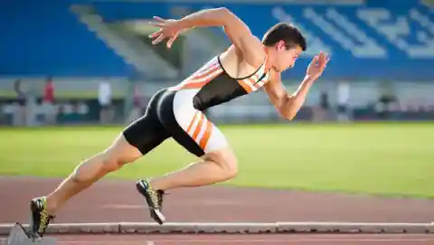 1. 彼らは誰なのか？